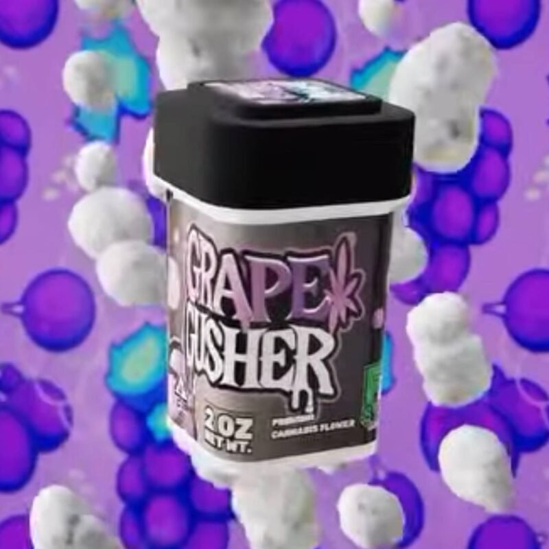FRO STIX GRAPE GUSHER DIAMOND PACK 
